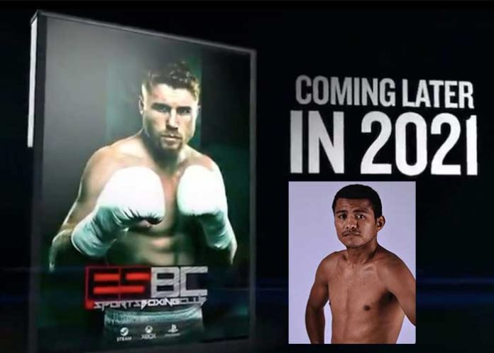 roman, chocolatito, boxeo, esport,