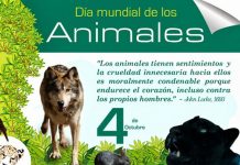 Hoy 4 de octubre es el Día Mundial de los Animales