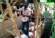 Nicaragua: Quedó aplastada cuando se volcó camión en que viajaba