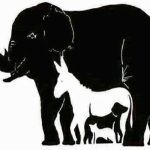 ¿Podés lograrlo? Intentá el desafío que hace furor en las redes sociales