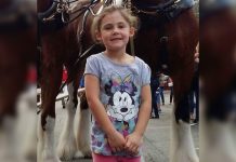 Sonriente caballo se convierte en un éxito viral al colarse en la foto de una niña