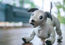 Sony lanza Aibo, el perro robot que usted quisiera tener