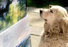 La primera y única perra del mundo crítica de arte