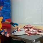 Desarrollo del sector pesquero en San Juan del Sur, Nicaragua