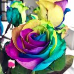 La última tendencia en bouquet de flores