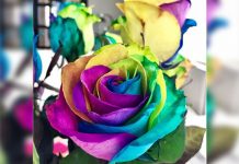 La última tendencia en bouquet de flores
