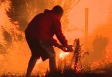 ¡Impresionante! Un hombre se lanza hacia las llamas para salvar a un conejo en California