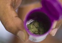 Puerto Rico: Más de 4,000 personas tienen tarjeta de uso de cannabis