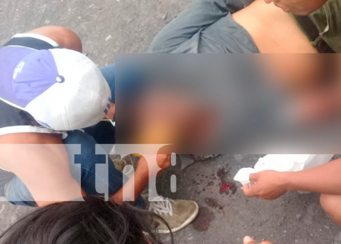 nicaragua, isla de ometepe, accidente de transito, perro,