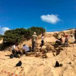 Descubren una impresionante tumba de la Edad de Bronce en España ciencia, españa, tumba, edad de bronce, descubrimiento