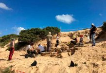 Descubren una impresionante tumba de la Edad de Bronce en España ciencia, españa, tumba, edad de bronce, descubrimiento