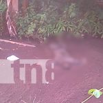 Encuentran muerto a joven que estaba desaparecido desde hace tres días nicaragua, rivas, tolesmaida, muerto,