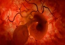 Científicos logran alterar genes de embriones humanos por primera vez