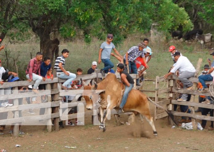 nicaragua, nandaime, corridas de toro, virgen de fatima,