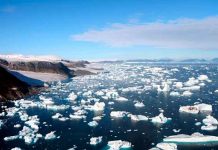 ciencia, groenlandia, hallazgo, mercurio, deshielo