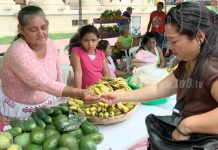 Feria de musáceas con productos sanos, frescos y baratos para familias
