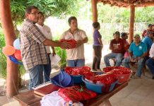 Homenaje a quienes recogen la basura que otros botan