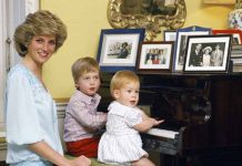 Príncipes de Inglaterra recuerdan última llamada con Diana