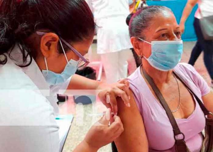 nicaragua, informe covid-19, seguimiento, pacientes, salud