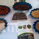 nicaragua, león, feria, cafe, emprendedores,