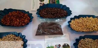 nicaragua, león, feria, cafe, emprendedores,