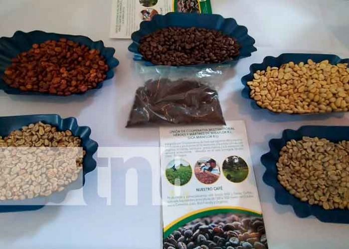 nicaragua, león, feria, cafe, emprendedores,