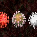 Científicos obtienen el mapa genómico completo del SARS-CoV-2 salud, ciencia, sarscov2, mapa genómico, estudio cientifico