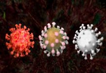 Científicos obtienen el mapa genómico completo del SARS-CoV-2 salud, ciencia, sarscov2, mapa genómico, estudio cientifico