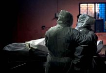 Científicos se apresuran a estudiar variantes de coronavirus en India salud, coronavirus, variante india, cientificos, estudio