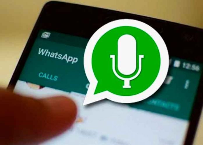 5 tecnologia, wahtsapp, actualizacion, audios, usuarios