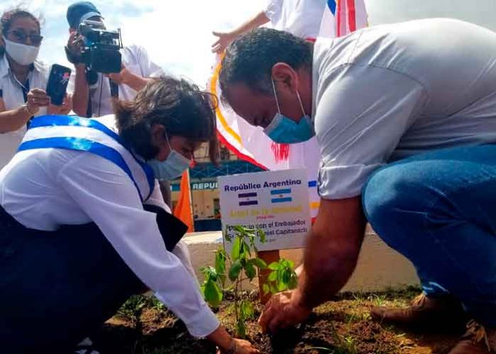 nicaragua, embajador argentino, mined, siembra de arbol