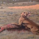 Descubren a felino con los dientes de sable más grandes de la Tierra ciencia, descubrimiento, felino, estados unidos, caracteristicas