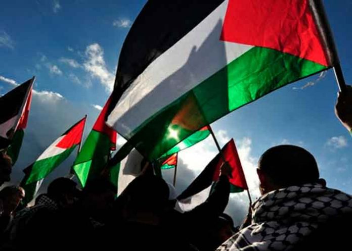 6 nicaragua, consternacion, palestina, violencia, paz