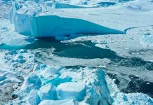 La falta de nieve fresca oscurece Groenlandia y acelera su calentamiento ciencia, groelandia, estudio, calentamiento, nieve