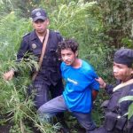 Capturan a hombre con plantío de marihuana en Yalí, Jinotega