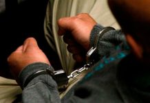 Dos hermanos terroristas denominados Los «terreurbroers» en Holanda serán condenados