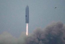 El cohete Starship de SpaceX logra aterrizar ciencia, spacex. cohete starship, aterrizaje, vuelo
