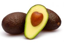 Encuentran componentes medicinales en la cáscara de semilla del aguacate