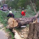 Siete muertos por fuerte tormenta en Alemania