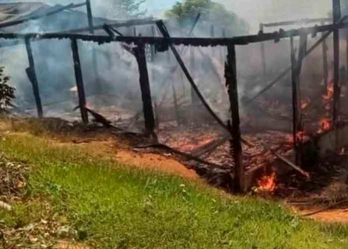 brasil, amazonia, quema, casa, lider indigena,