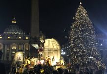 El Vaticano enciende su árbol de Navidad