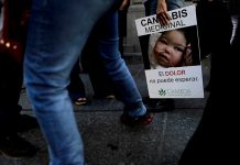 Argentina aprueba uso médico del aceite de cannabis