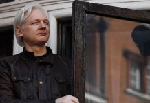 Assange celebra «victoria» desde balcón de embajada de Ecuador