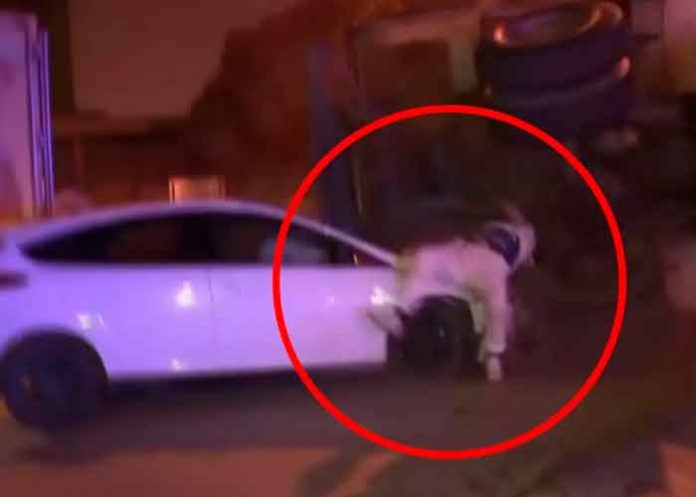 Atroepllo argentina, video, redes sociales, reportero, transmision,