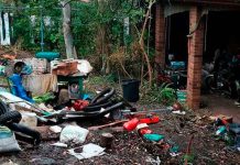 Australia: Mató a un ladrón y convivió con el cadáver durante 15 años australia, sujeto, matar, ladron, convivencia, cadaver, años,