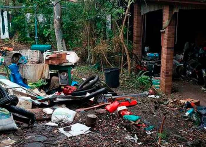 Australia australia, sujeto, matar, ladron, convivencia, cadaver, años,