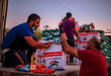 egipto, ayuda humanitaria, envio, gaza, autoridades,