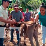 Nicaragua, Boaco, Educación técnica en el campo, productores,