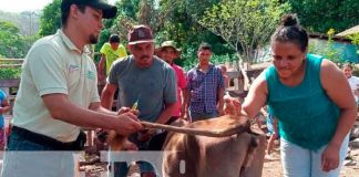 Nicaragua, Boaco, Educación técnica en el campo, productores,