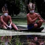 Brasil, comunidades indígenas, gobierno, proteger